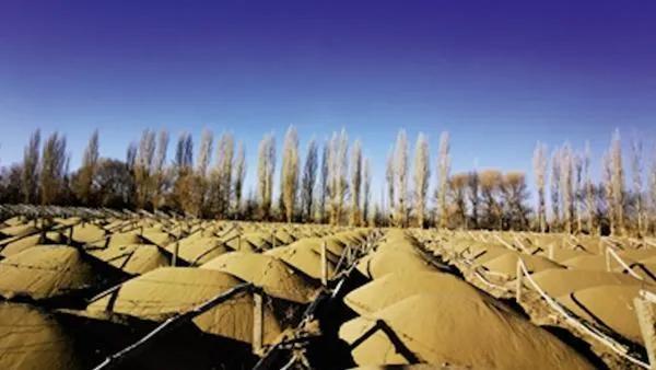 核城裂变央视纪录片,核酸检测