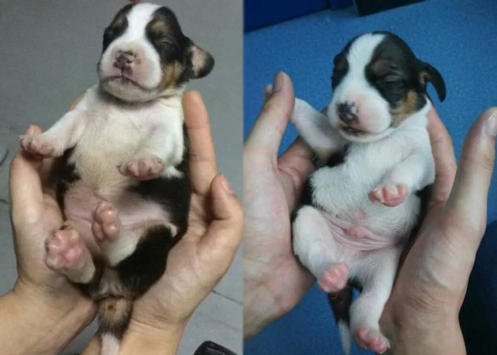 38万可以做什么,38万能做什么