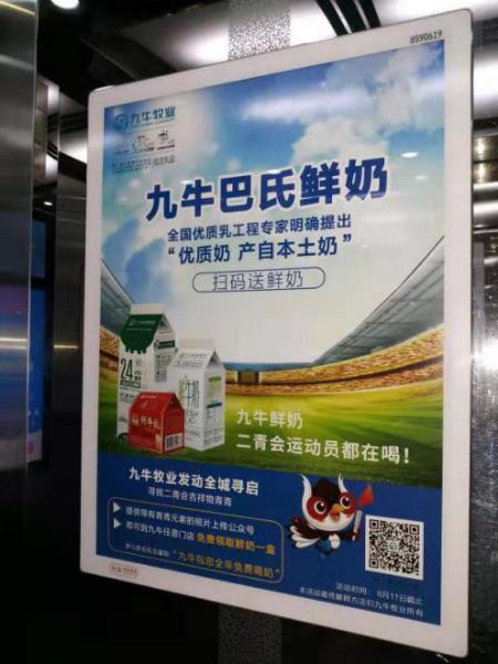 九牛牧业免费领牛奶,九牛牧业纯牛乳