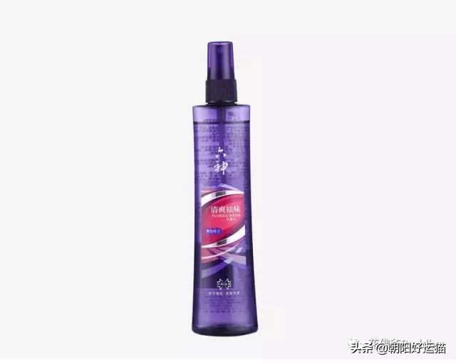 你见过如此珍贵的兰花吗,带你了解兰花