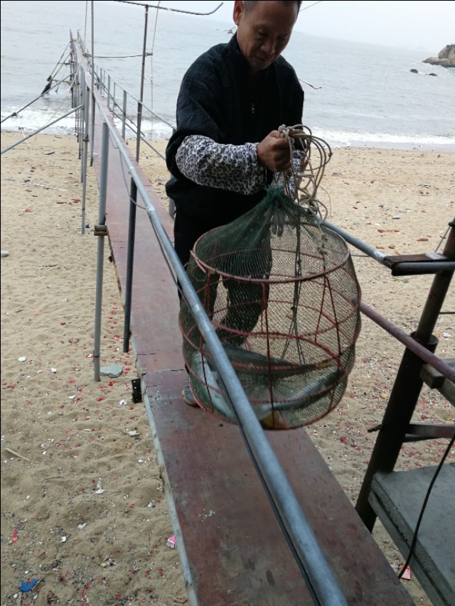 海边钓鱼撒网技巧图解,冬天海边撒网抓鱼有哪些技巧