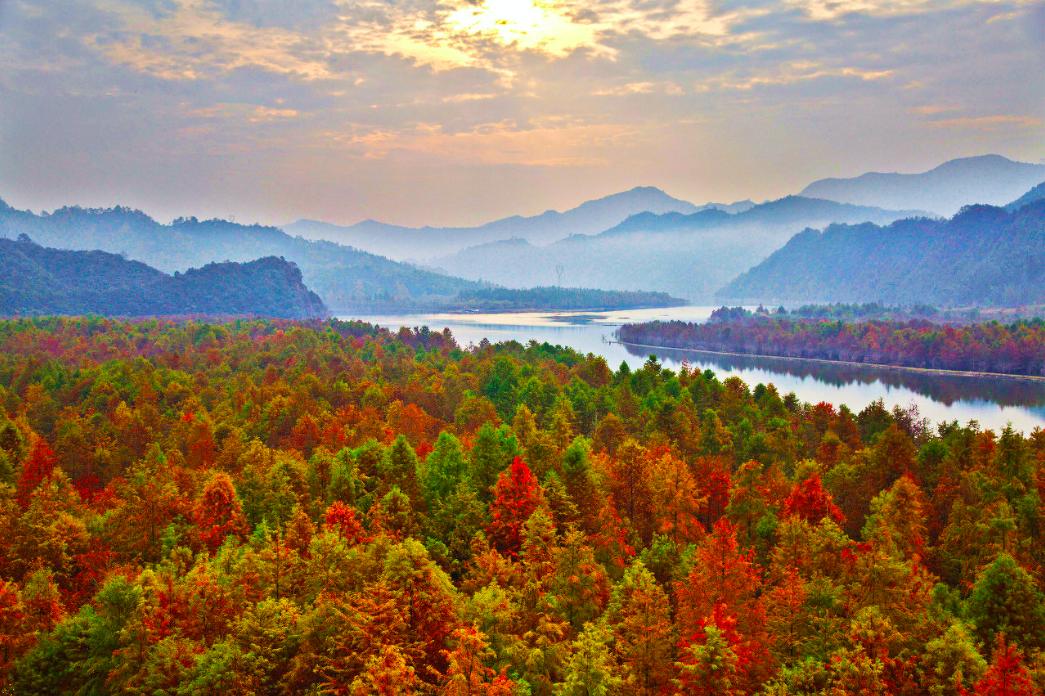 秋天的杭州自驾游,杭州秋冬自驾