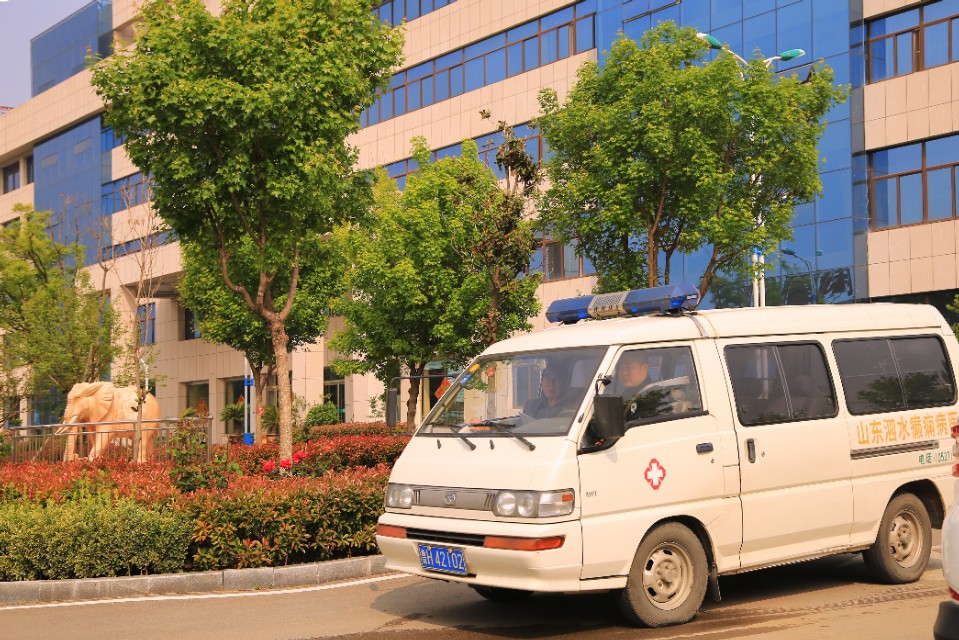 山东泗水癫痫病医院花香四季情暖人间——赵伟摄影、撰文