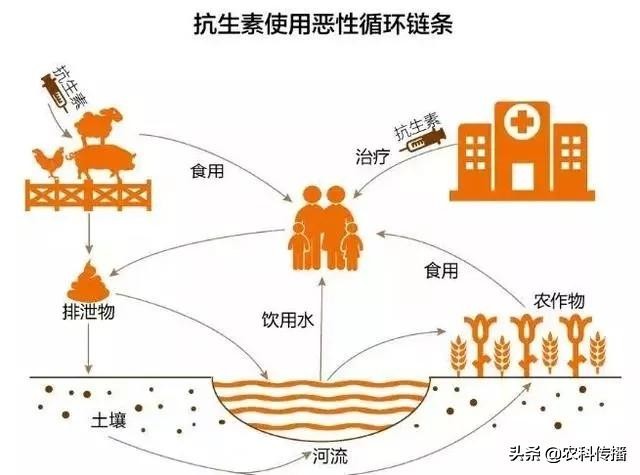 畜禽粪便是很好的有机肥越多越好,畜禽粪便主要原料的有机肥外观
