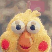 新媒体运营助理必备技能,新媒体运营工具