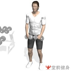 一周4练健身计划,4分化训练怎么安排一周计划