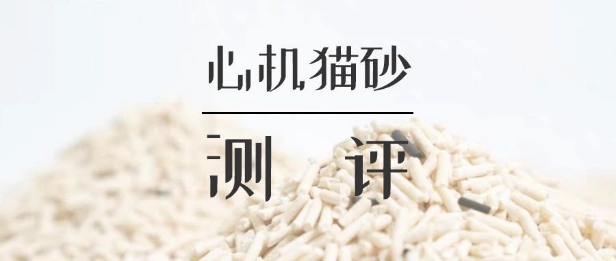 黑科技超强除臭猫砂,豆腐猫砂无粉尘真实测评