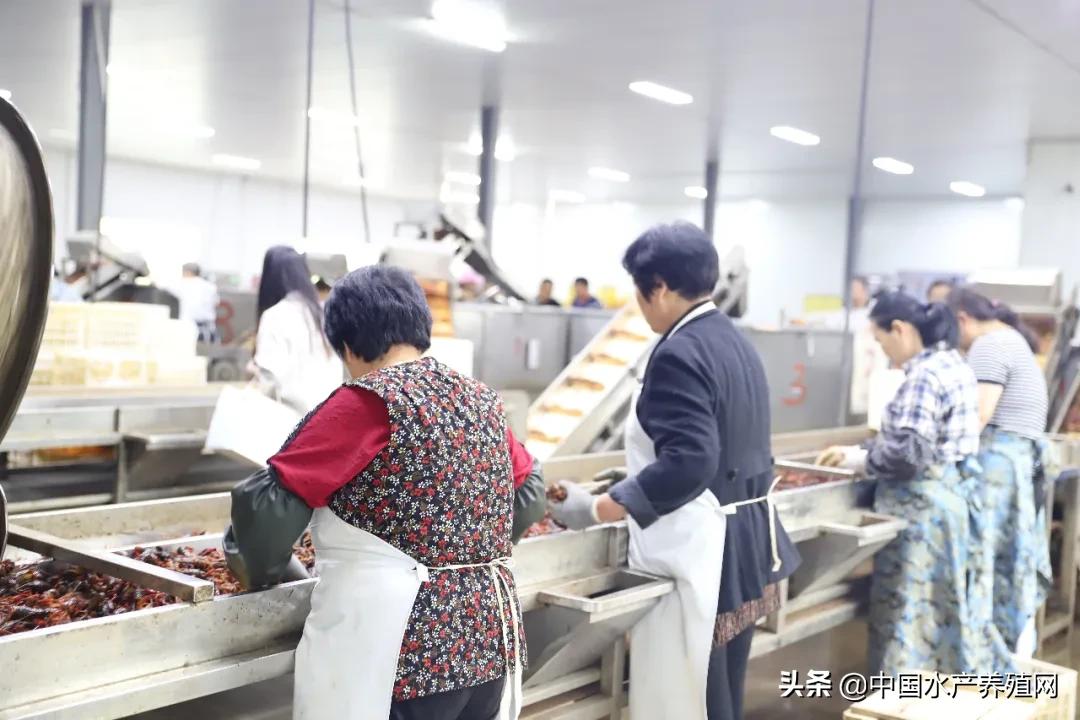 安徽省渔业协会,安徽渔业协会