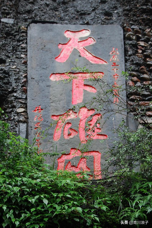 剑门关的“皇豆”是咋回事儿？