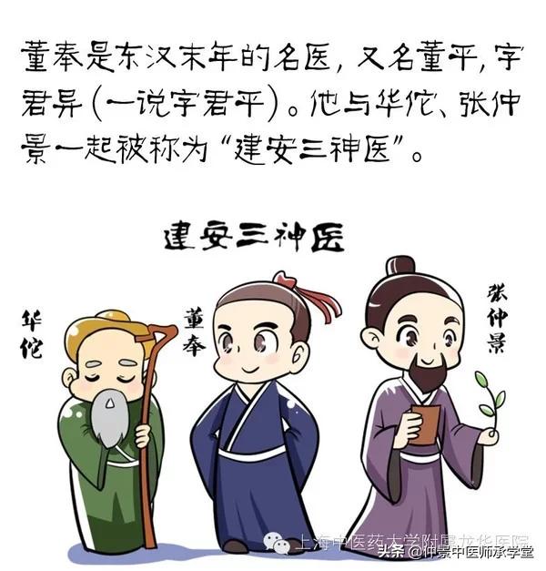 伤寒论脉解篇,伤寒论释疑大全