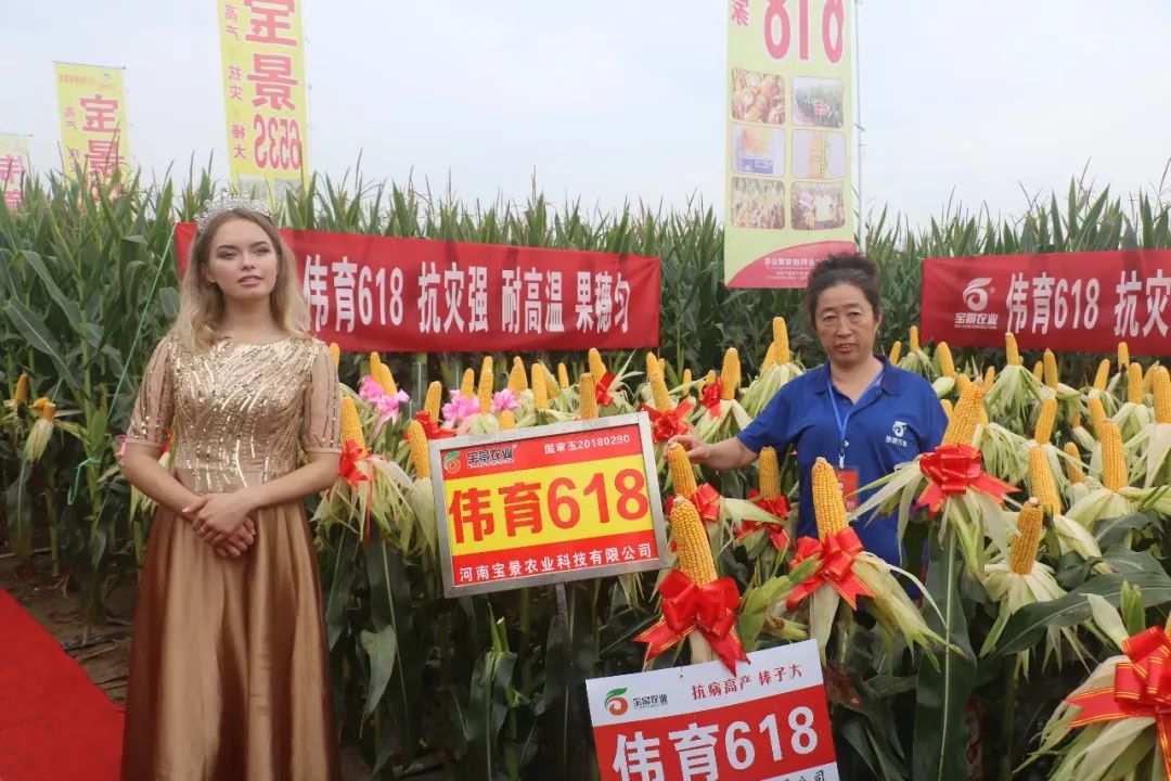 宝景农业,转变思路种地挣钱