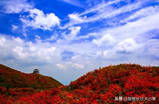 湖南省浏阳市有多少个镇,湖南省浏阳曾经是个市吗