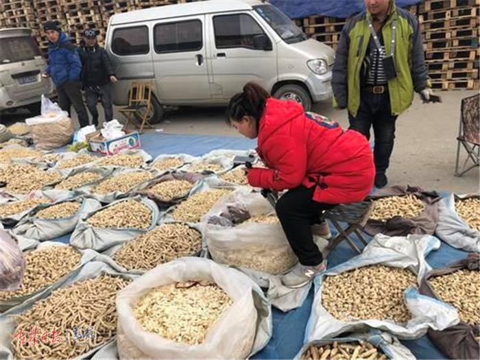 长白山卖土特产直播,长白山特产直播卖货