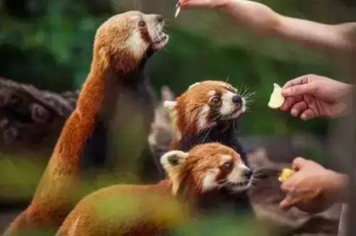 1月带娃云南小众旅游,云南小众旅游2日游