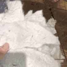 开箱测评葡萄酒,开箱测评行李箱