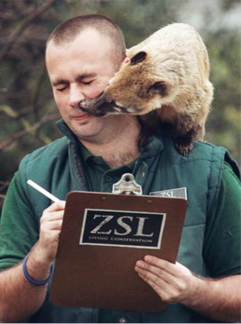 英国4至12岁孩子115个问题请115位大师解答！（系列二）