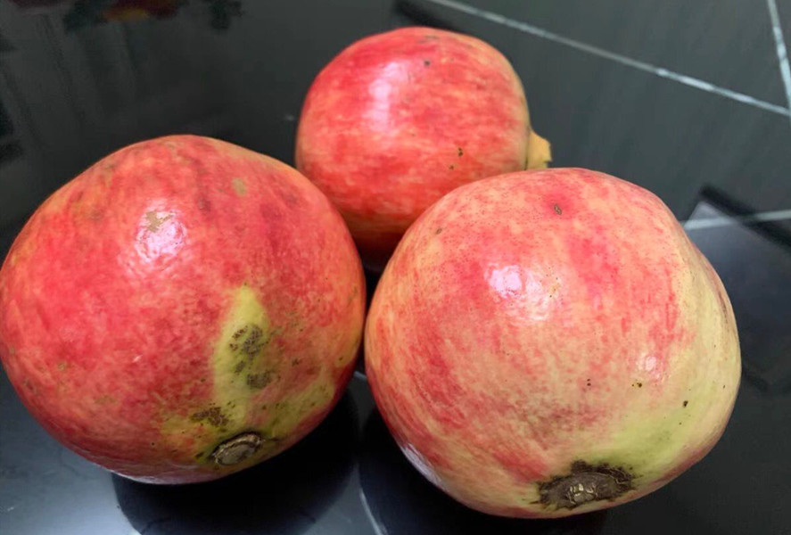 石榴的正确打开方式,剥干石榴小窍门是什么