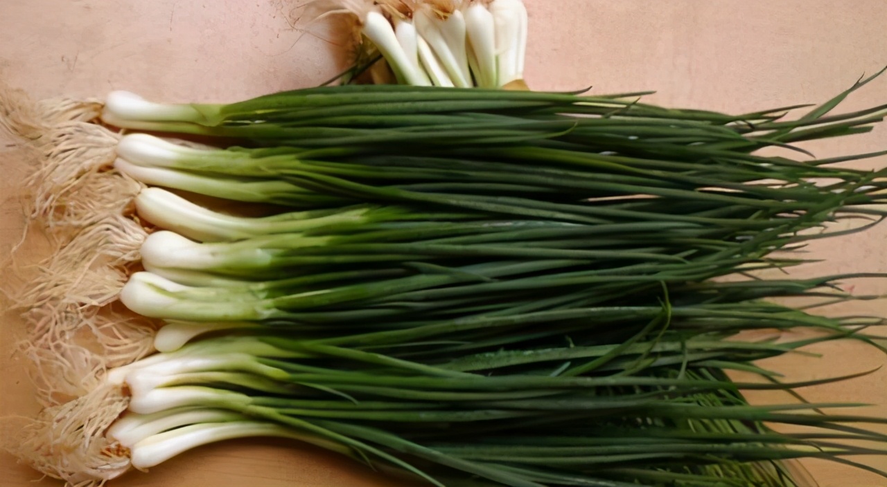 你我天天见的美团，到底是怎么赚钱的？这里有你想知道的答案