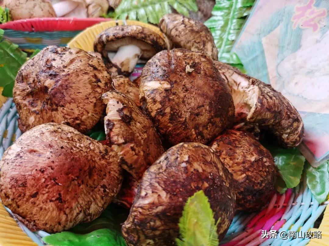 十一月小众冷门旅行地推荐,8月必去的十大旅行地