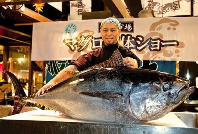 大阪和歌山一日游最佳路线,和歌山日本旅游