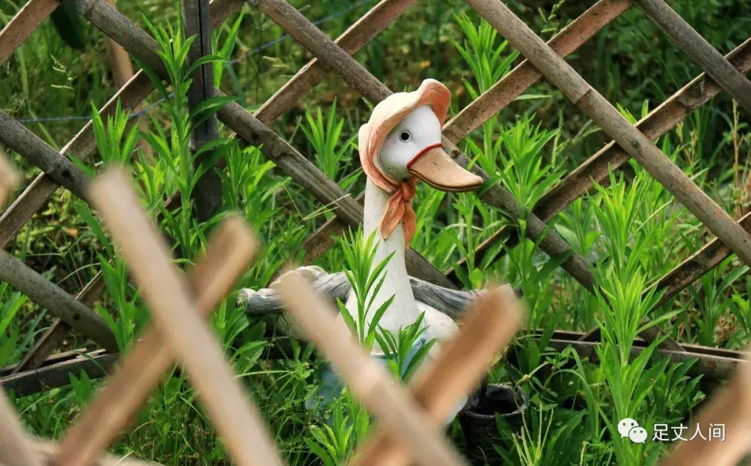 观澜版画村,观澜版画村生态艺术研学基地