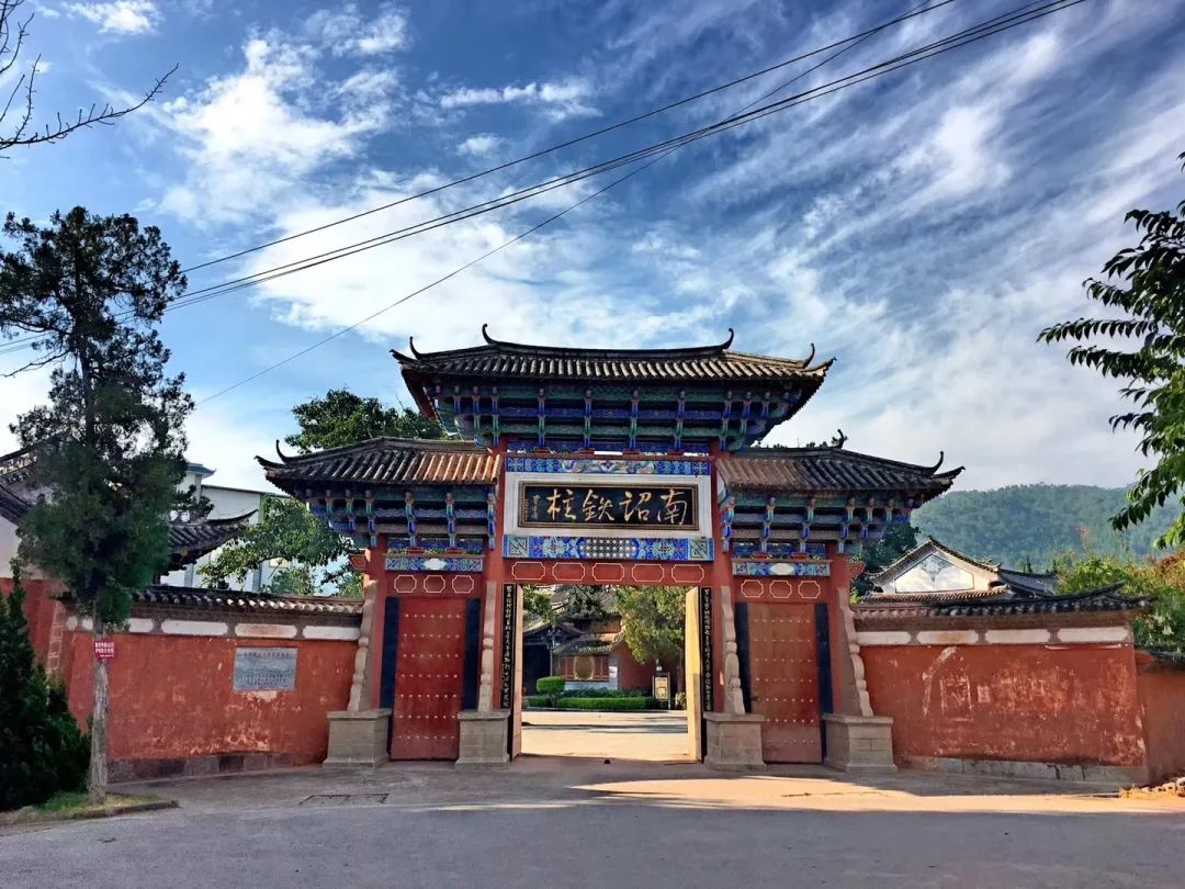 云品出滇入鲁,云品出滇鲜