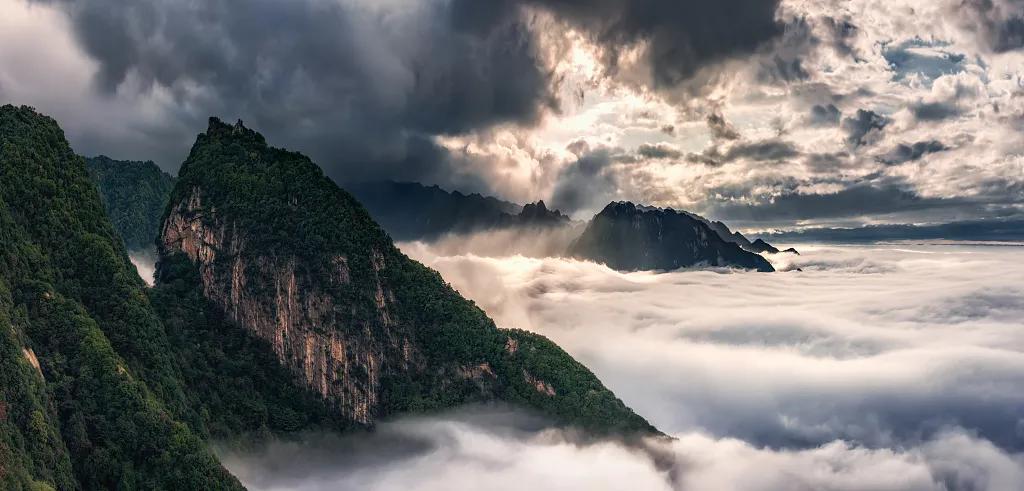 让客来时所见一山碧绿万物竞发