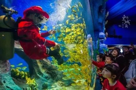 西安圣诞节礼物在哪买,西安圣诞节礼包免费领取