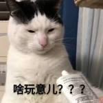 双千兆电信,双频千兆和3000兆的区别