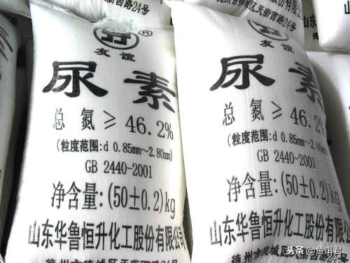 黑坑撒化肥怎么解决,黑坑为啥撒石灰粉