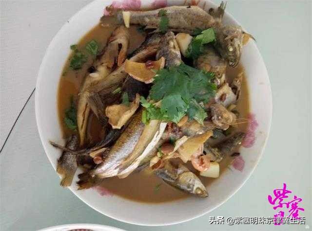 乐亭韩姐农家院价格,韩姐在乐亭农家最新视频