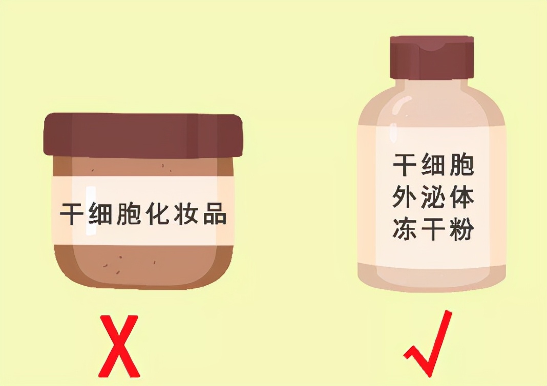 干细胞护肤是骗局揭秘,干细胞美容是伪科学吗