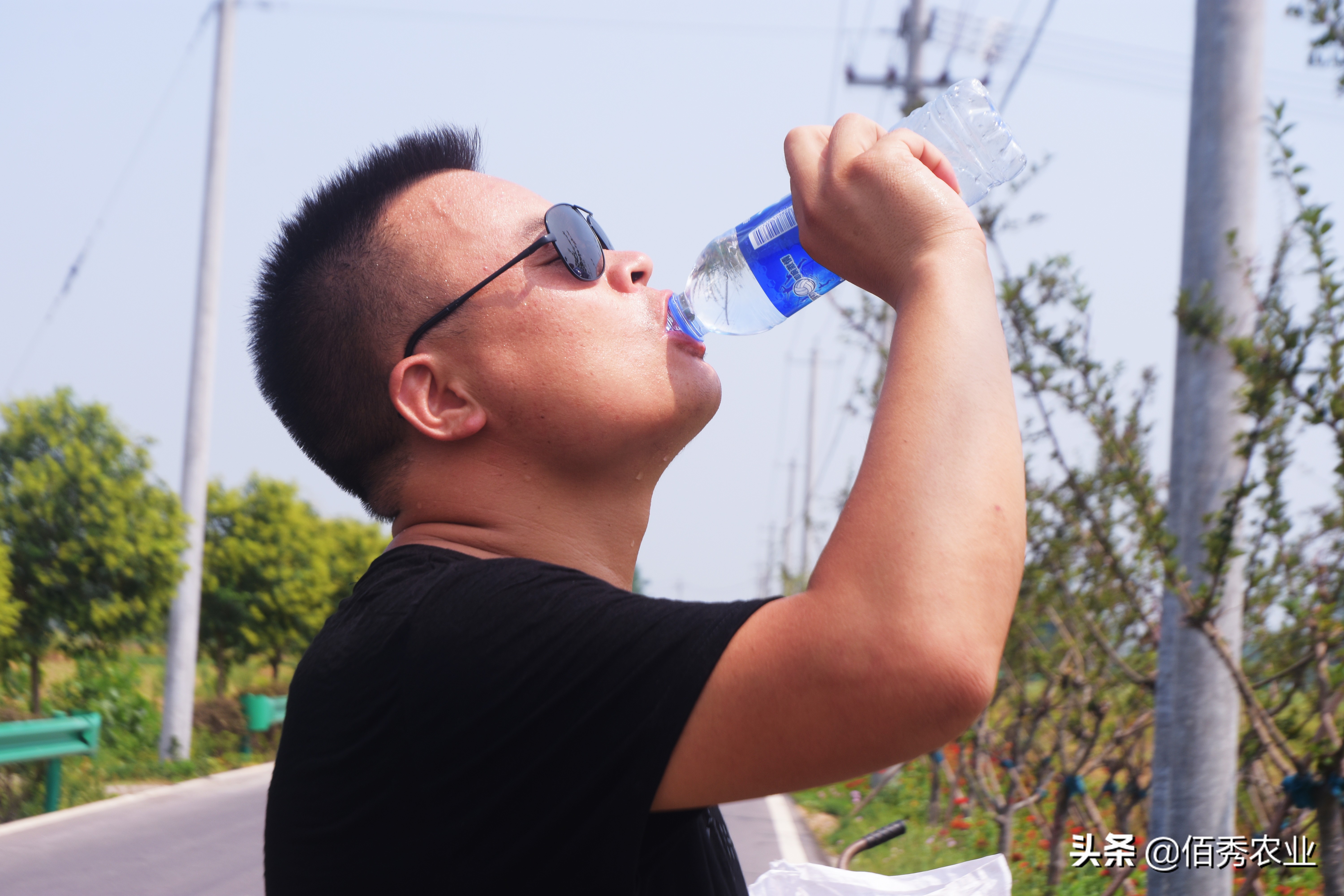 不想打工了在农村干什么可以致富,40岁在农村能做什么养家