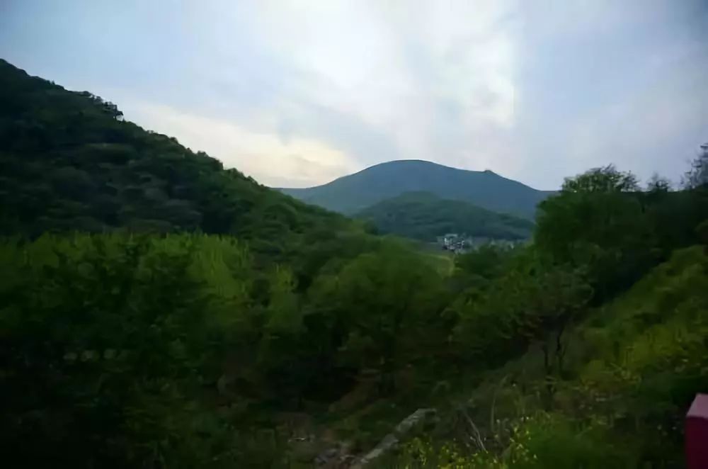 怀念渐渐退出历史舞台的汇款单