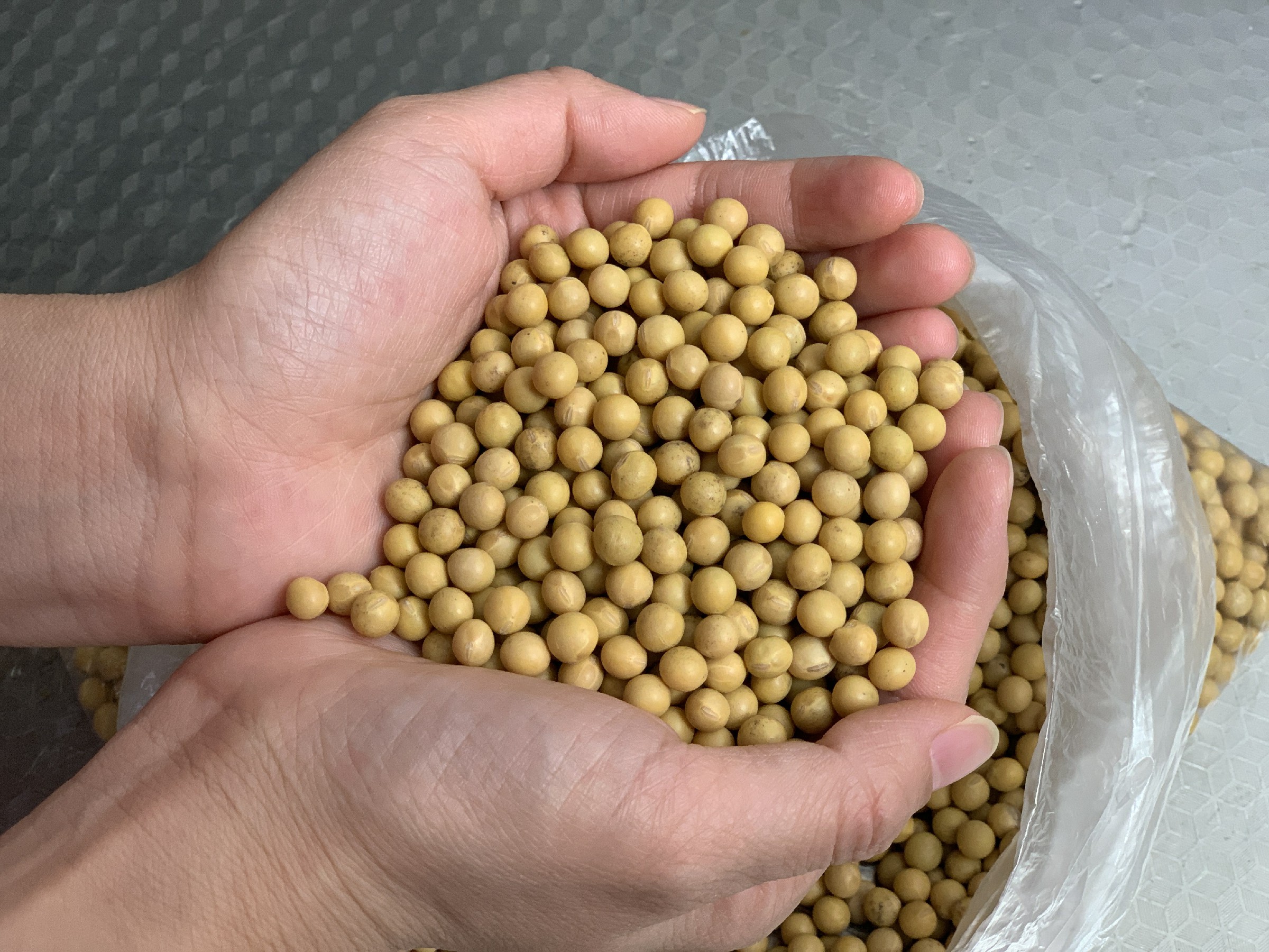 想吃豆腐教你自己简单在家做,想吃豆腐在家里就能做