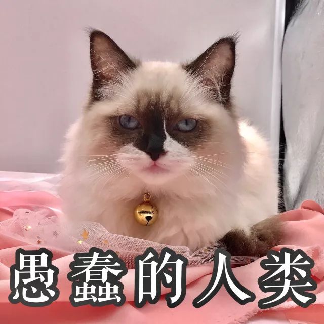 来wruru俄罗斯海淘get林允同款双萃