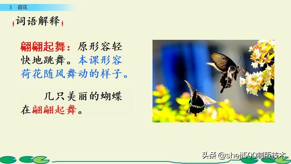 部编版三年级下册语文3荷花讲解,三年级下册部编语文荷花教学视频