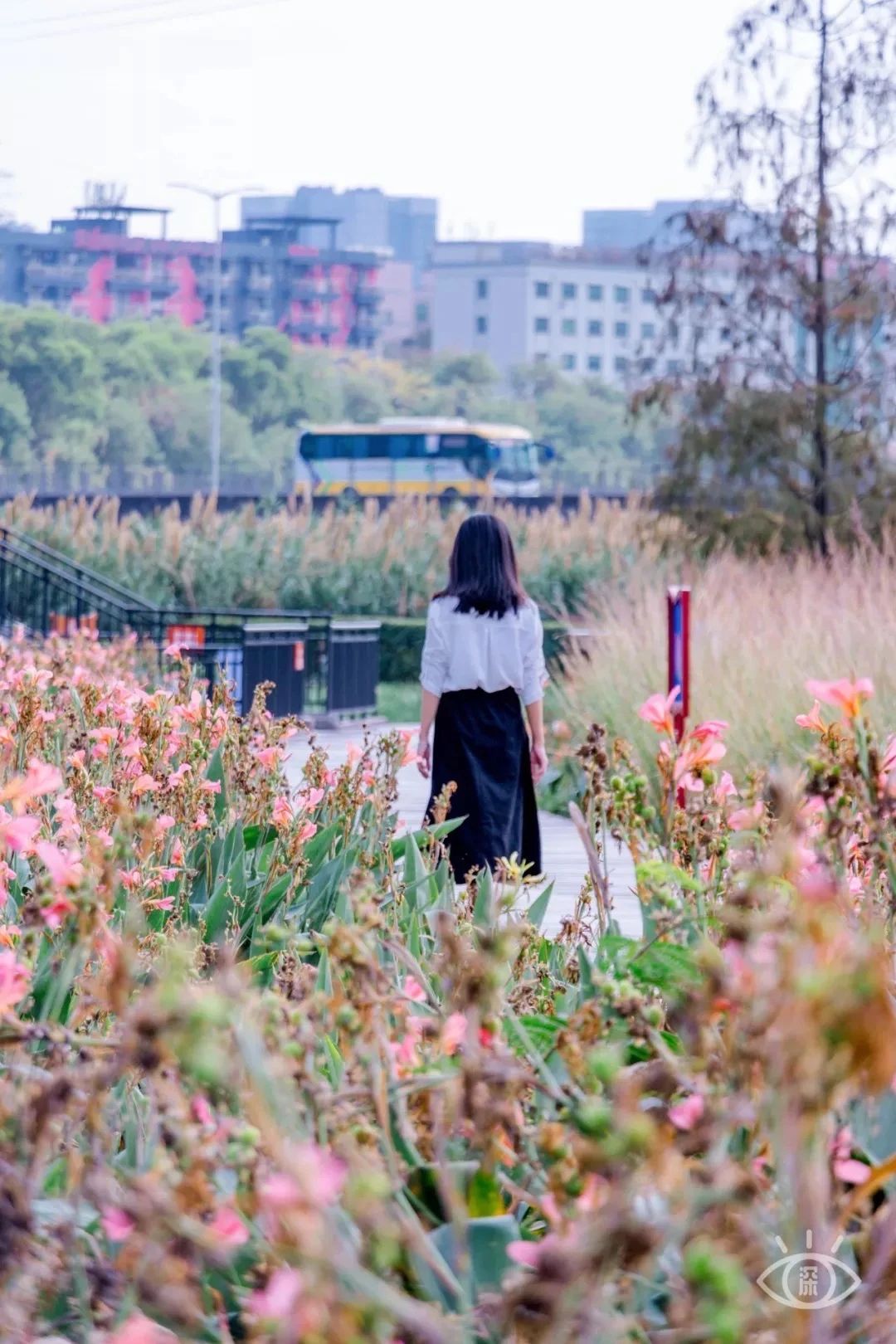 深圳周末浪漫好去处,深圳浪漫约会地点十个景点