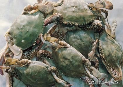 管理团队六大禁忌,论如何做好团队中层管理者