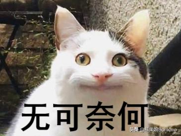 从网上标价150美元的PS5和XSX背后，我挖出了尘封的山寨主机秘密