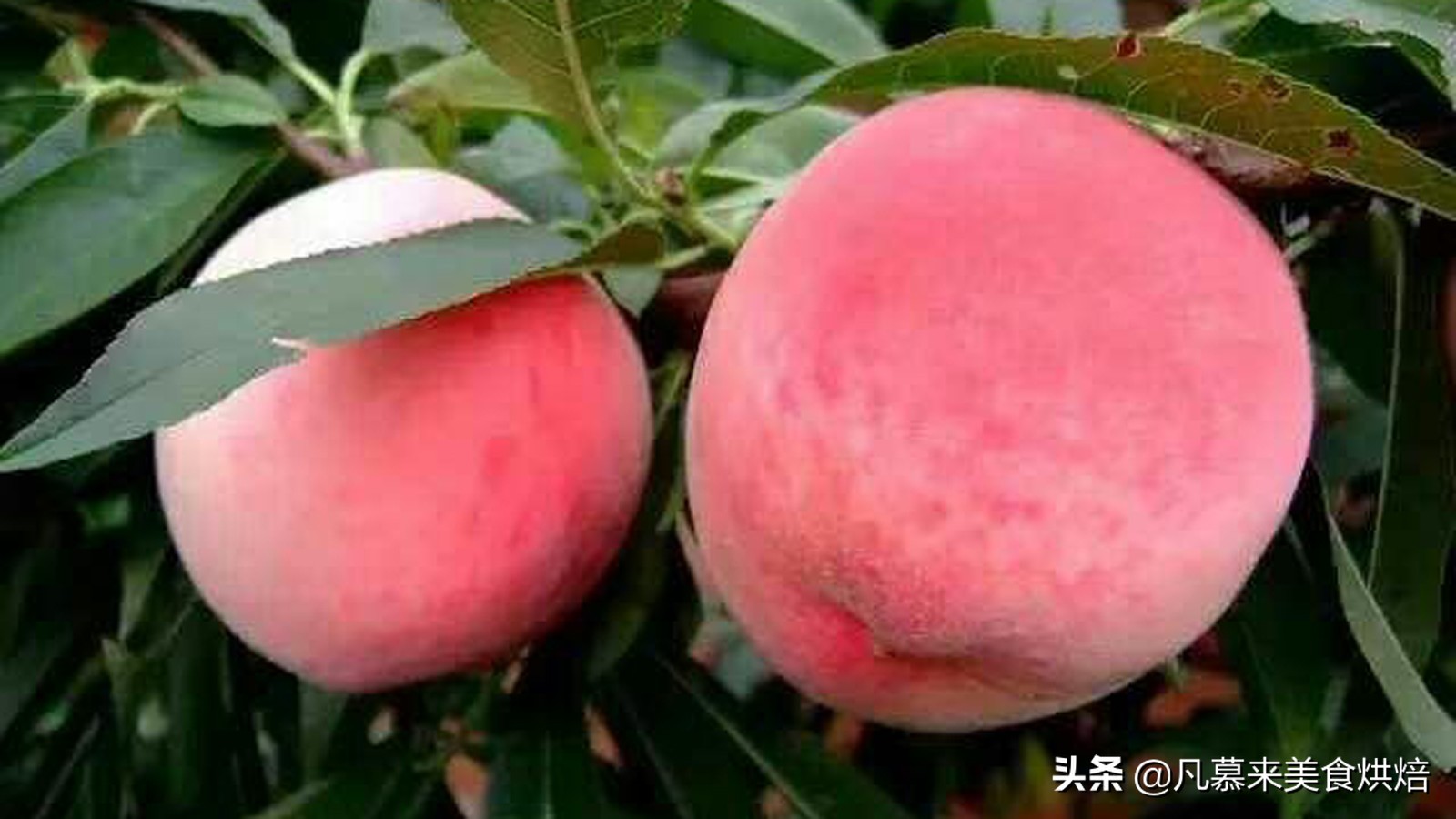 唐山什么特产适合送人,客人来唐山带点啥特产