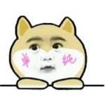 绾青丝，挽情思，当年红极一时的鼻祖级网文为何在如今却引发群嘲