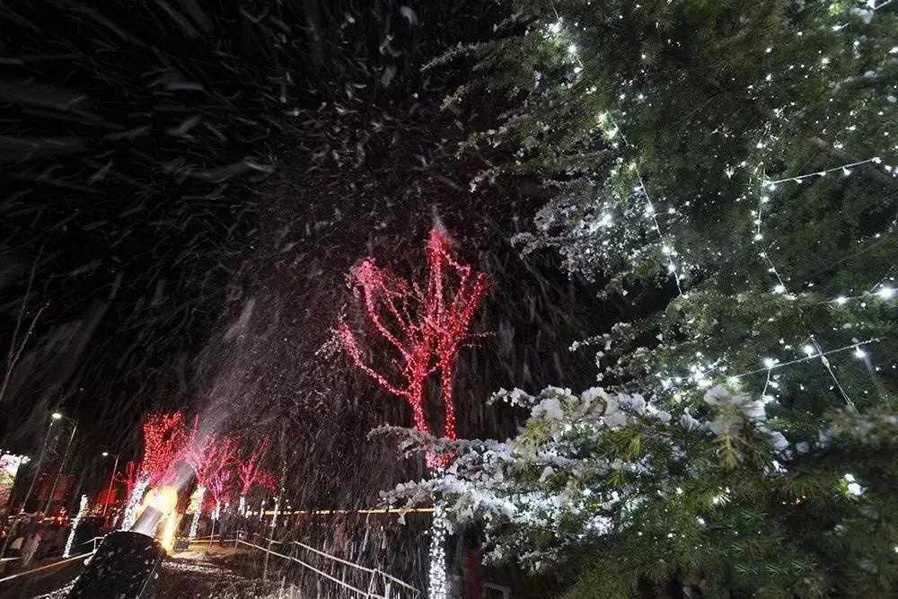 台州踏春好去处,最是一年春好处朗诵