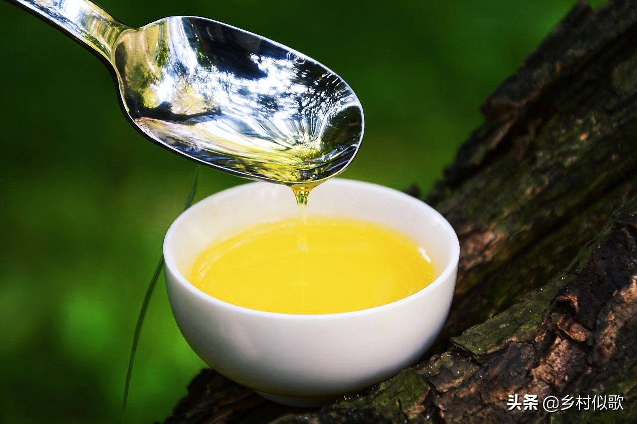 浙江种植山茶油,山茶油哪里的销路最好最正宗