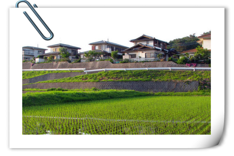 一个人今年想回到农村搞养殖，却不知道养什么好？推荐几个供参考