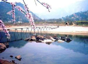 青城山概况,青城山简介概况