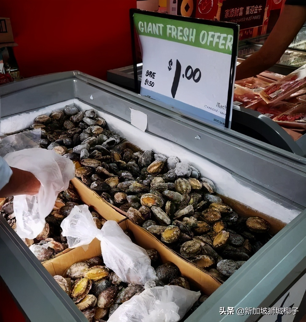 今年新加坡马来西亚的鲍鱼大降价！网友买来配泡面吃