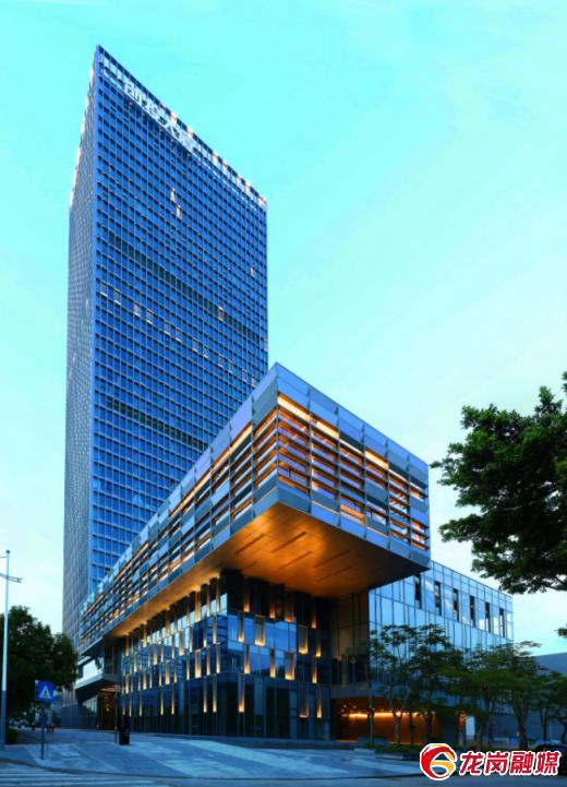 龙岗胡润榜,龙岗区百强区排名