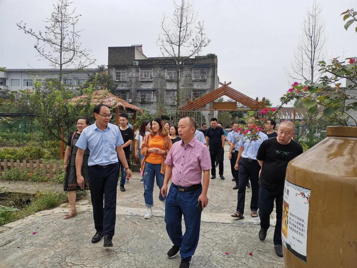 大邑乡村振兴示范点有哪些,大邑乡村振兴先进经验