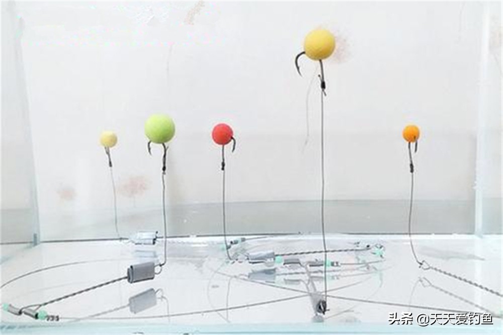 草鱼怎么钓才能钓得又大又好,这个季节深水野钓草鱼怎么钓法